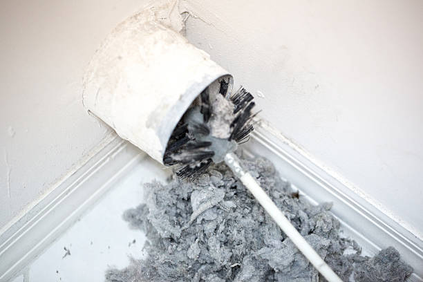 Best General Air Duct Cleaning  in Dundee, MI